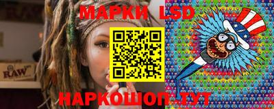стафф Кузнецк