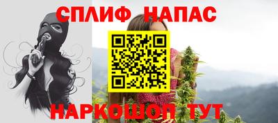 стафф Кузнецк