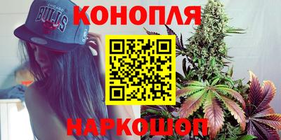 стафф Кузнецк