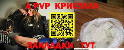 стафф Кузнецк