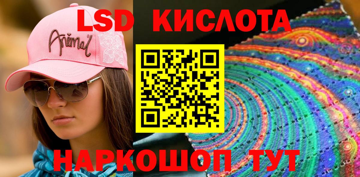 Наркотические марки 1,5мг  где продают   Наркотические марки 1,5мг  Камышлов  Вход с VPN  Марки 25I-NBOMe 