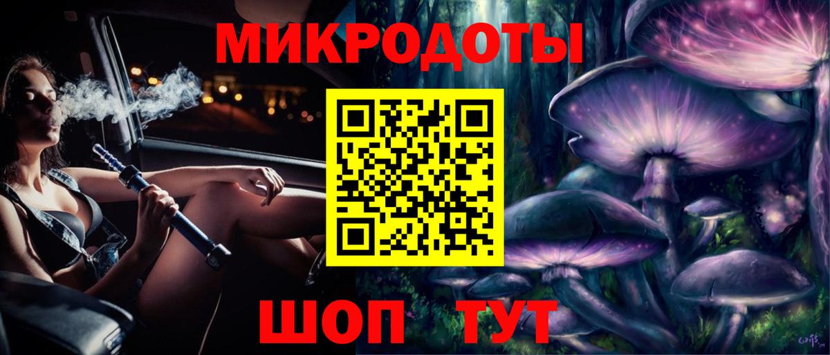 Псилоцибиновые грибы Psilocybe Камышлов